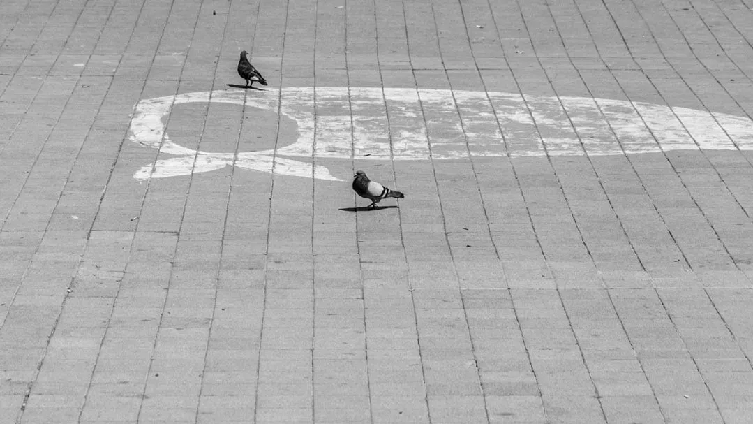 WhatsApp Image 2023-12-17 at 13.24.13 (1)