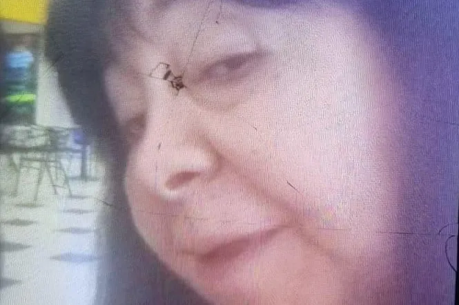 Maria Teresa Vergara