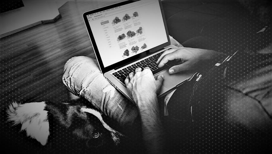 baker-order-online-laptop-grid